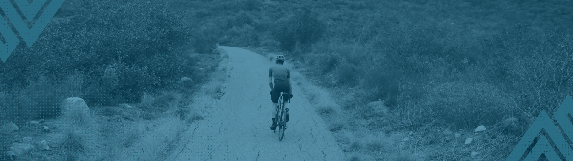 Giant  AllTour