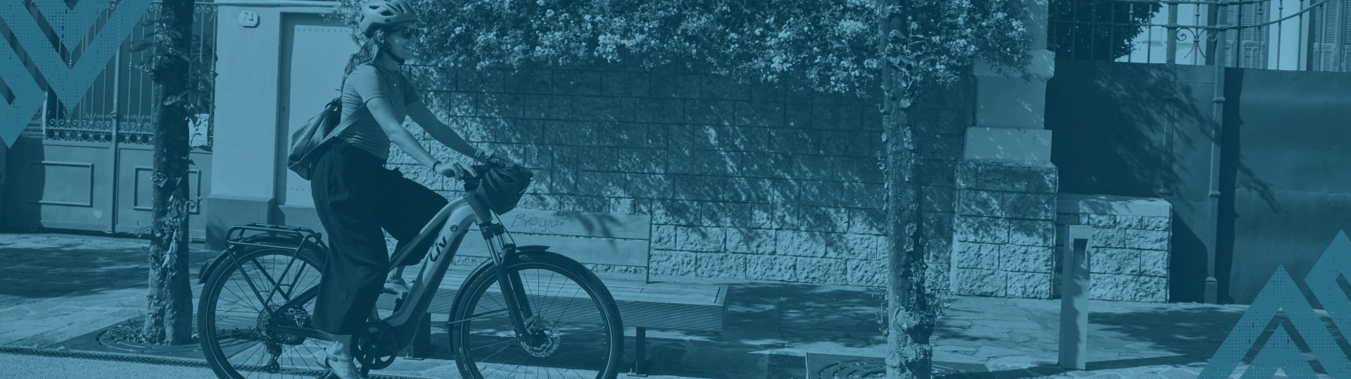 Liv E-Bikes 