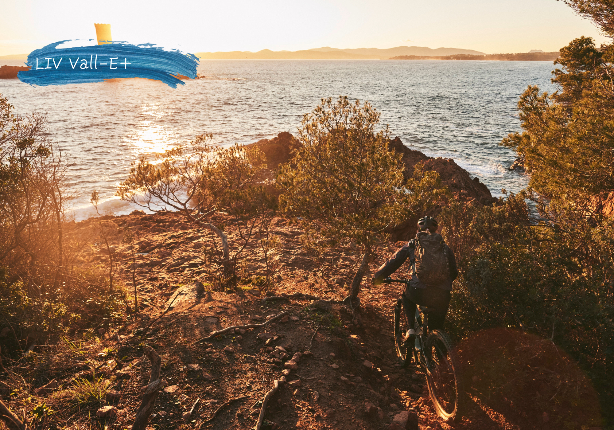 Liv Vall- E+