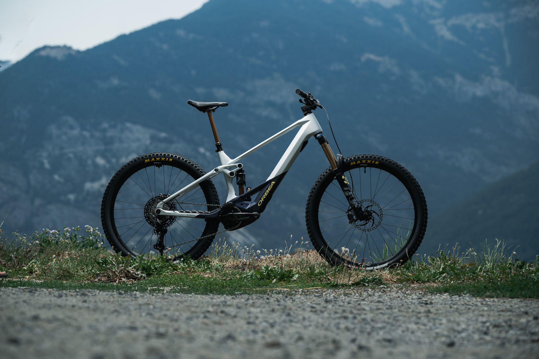 Orbea Wild 2023 in der Natur 