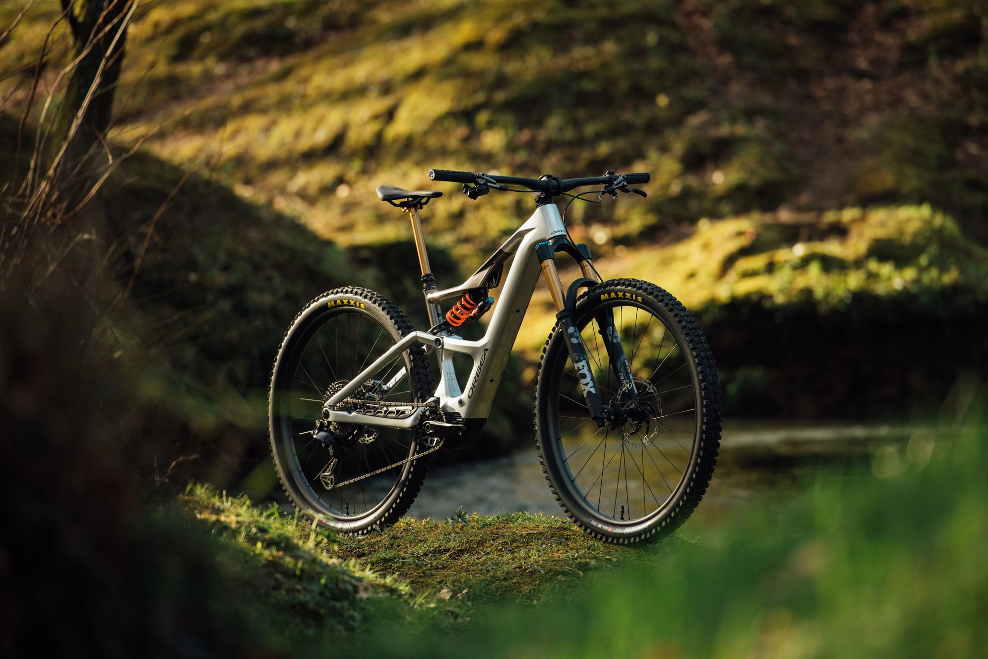 Orbea Rise 2025 graues Fahrrad vor Wald Hintergrund im Sonnenschein