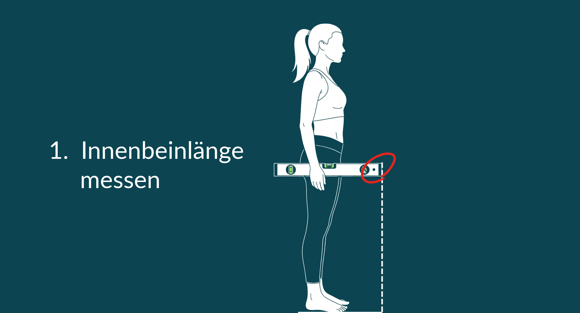 Innenbeinlänge messen