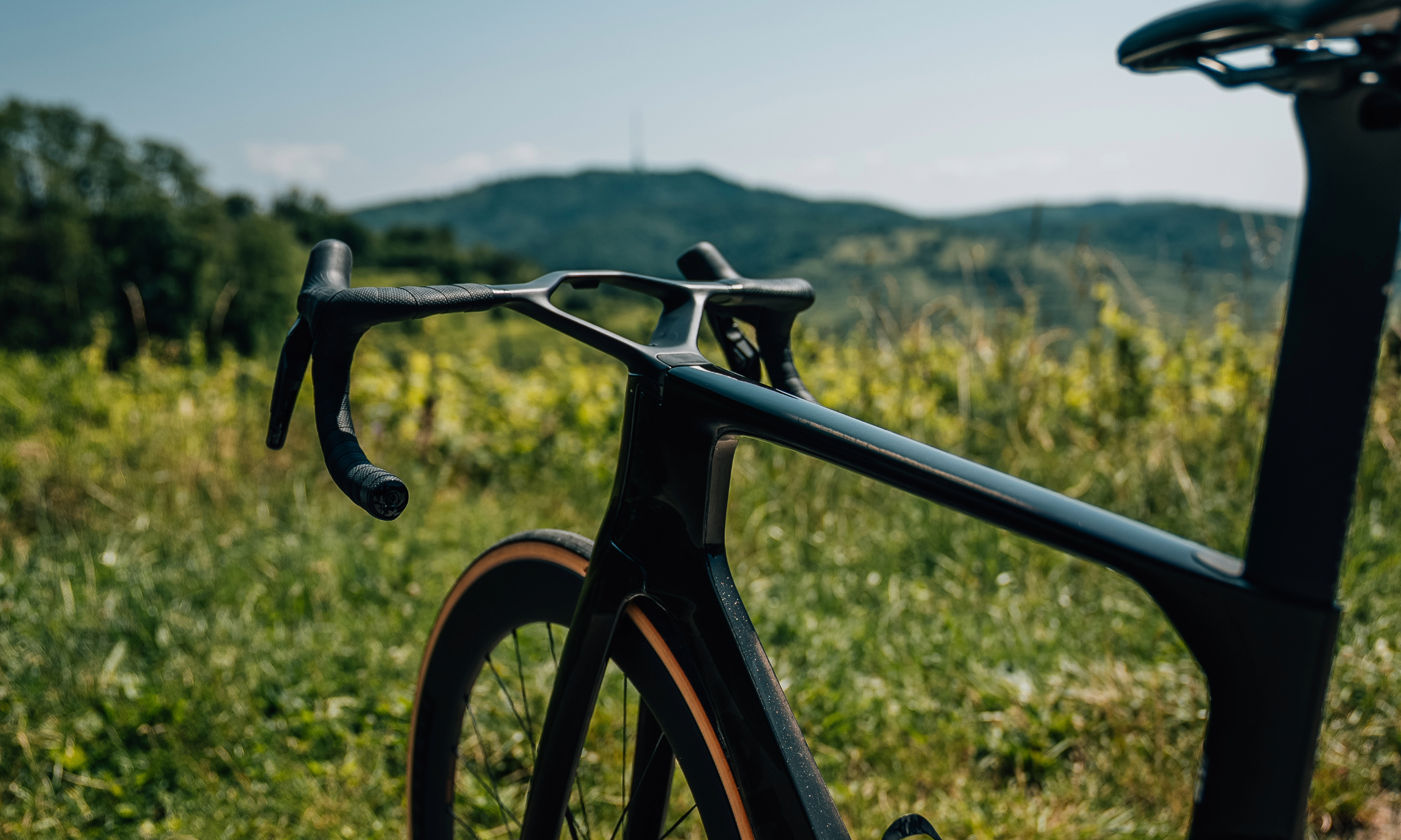 Orbea Terra 2026