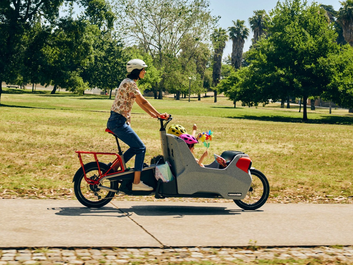 E-Lastenrad