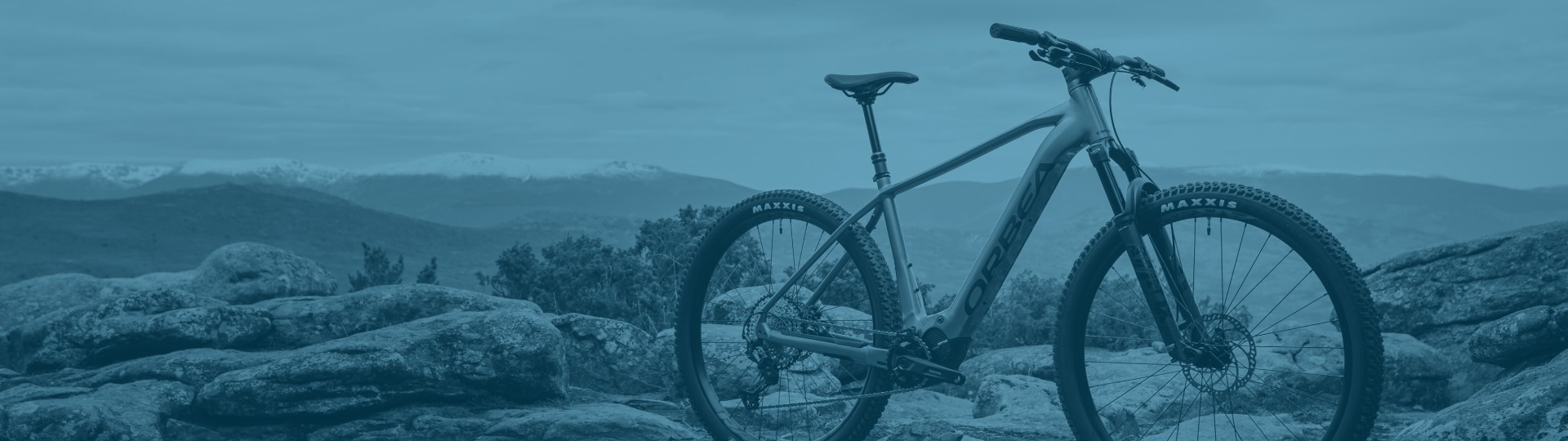 E-Mountainbike Hardtails