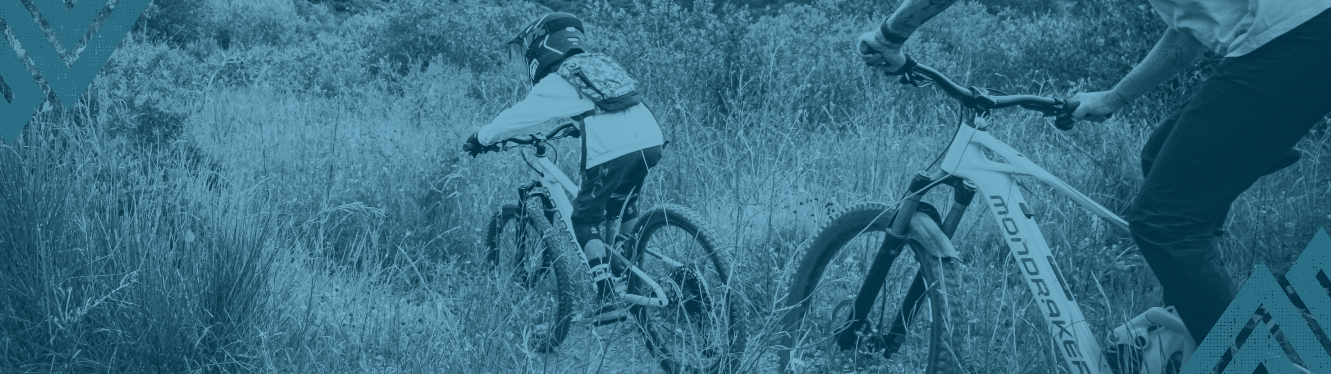 Santa Cruz Bronson - verspielter Trail Gefährte 