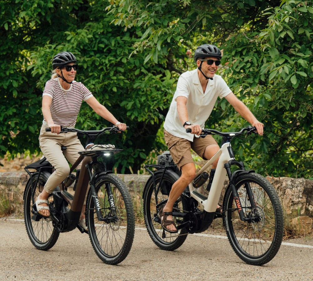 E-Bikes bei Mount7 kaufen