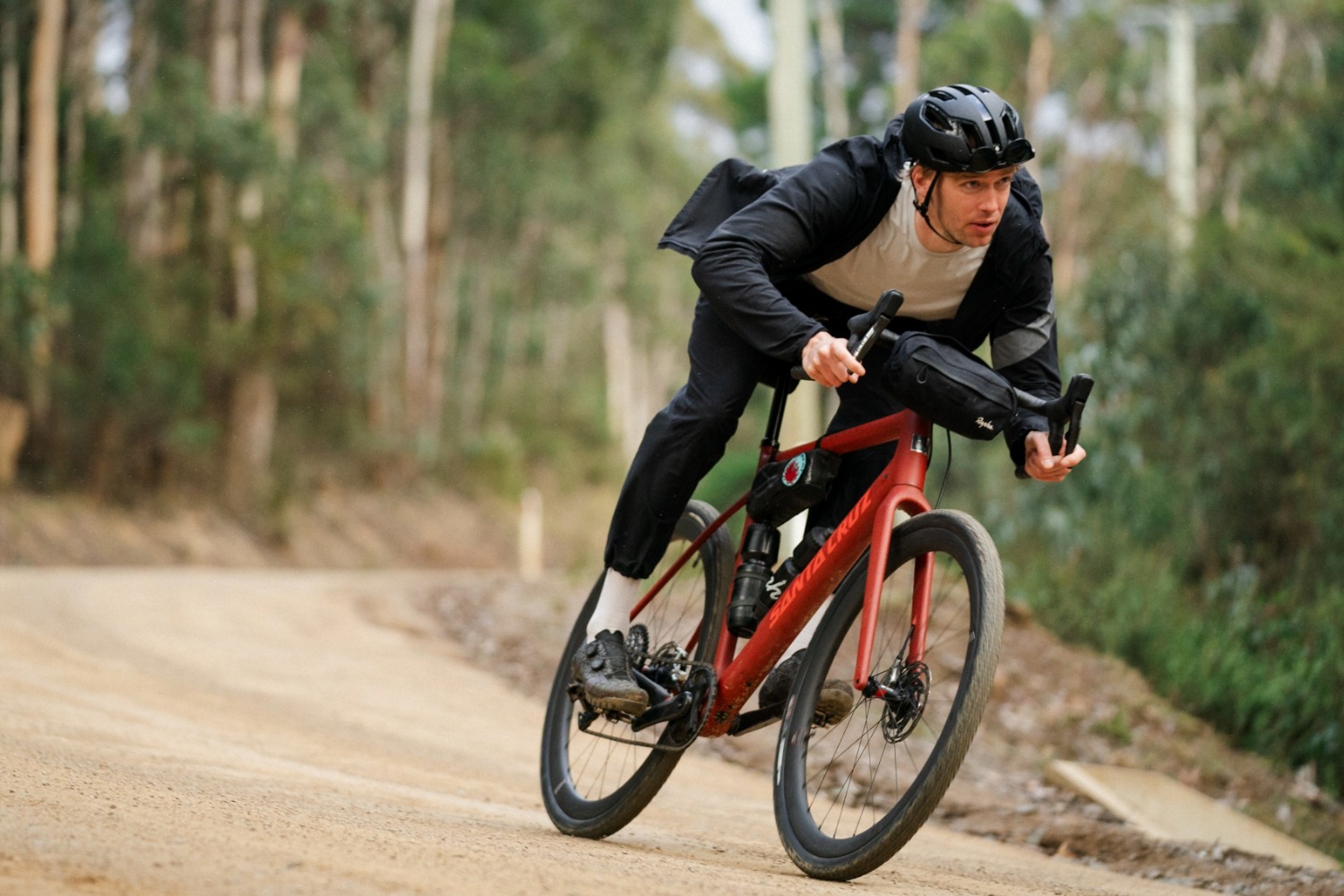 Santa Cruz Stigmata 