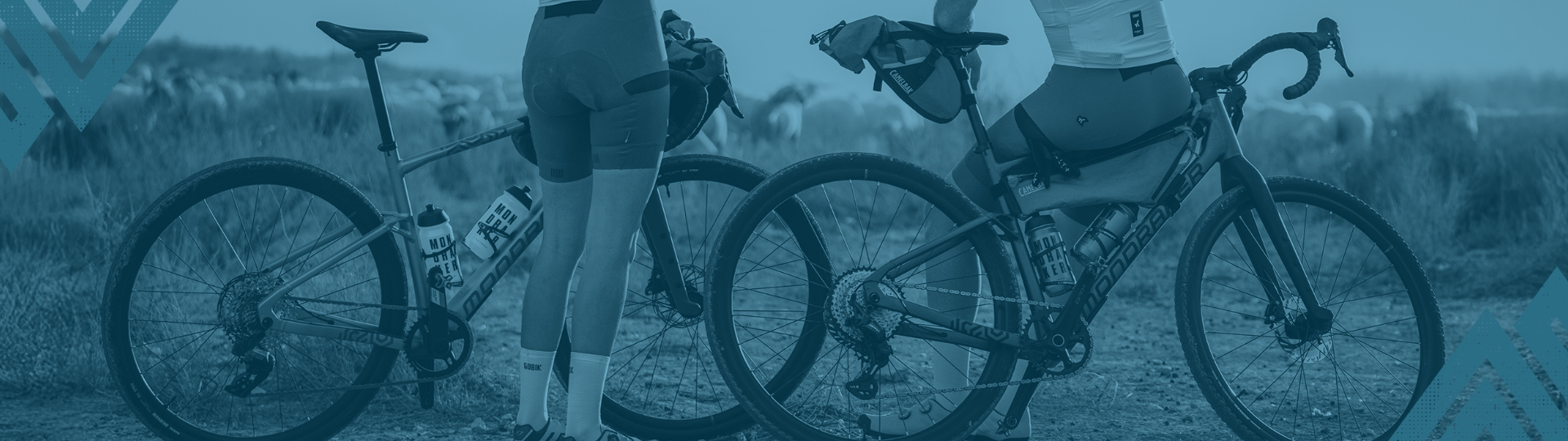 Giant Defy - Endurance und Alltag