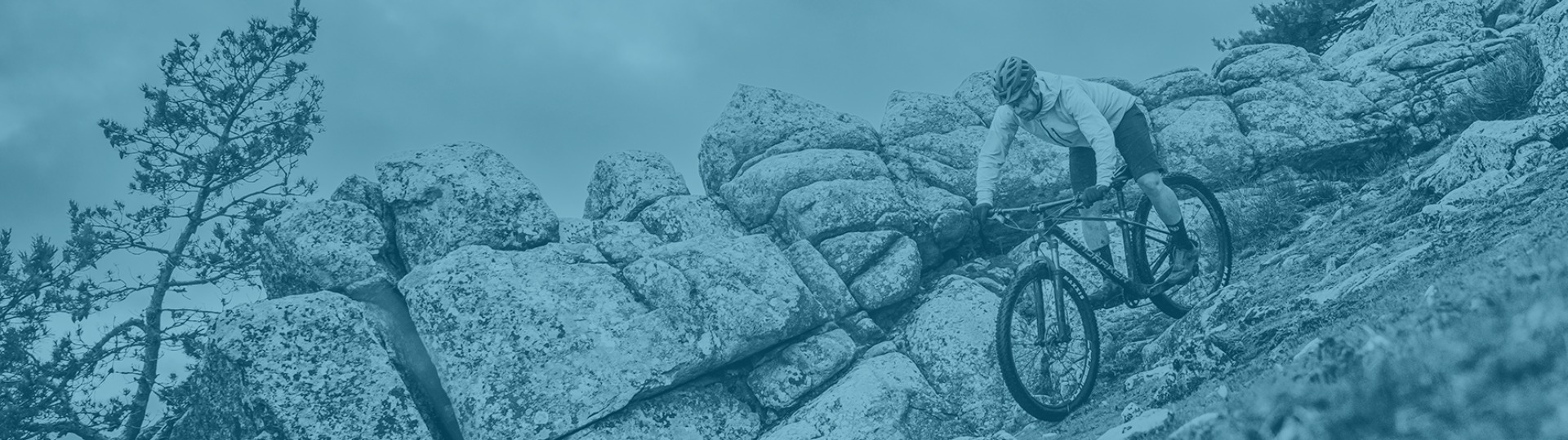 Mondraker Mountainbikes