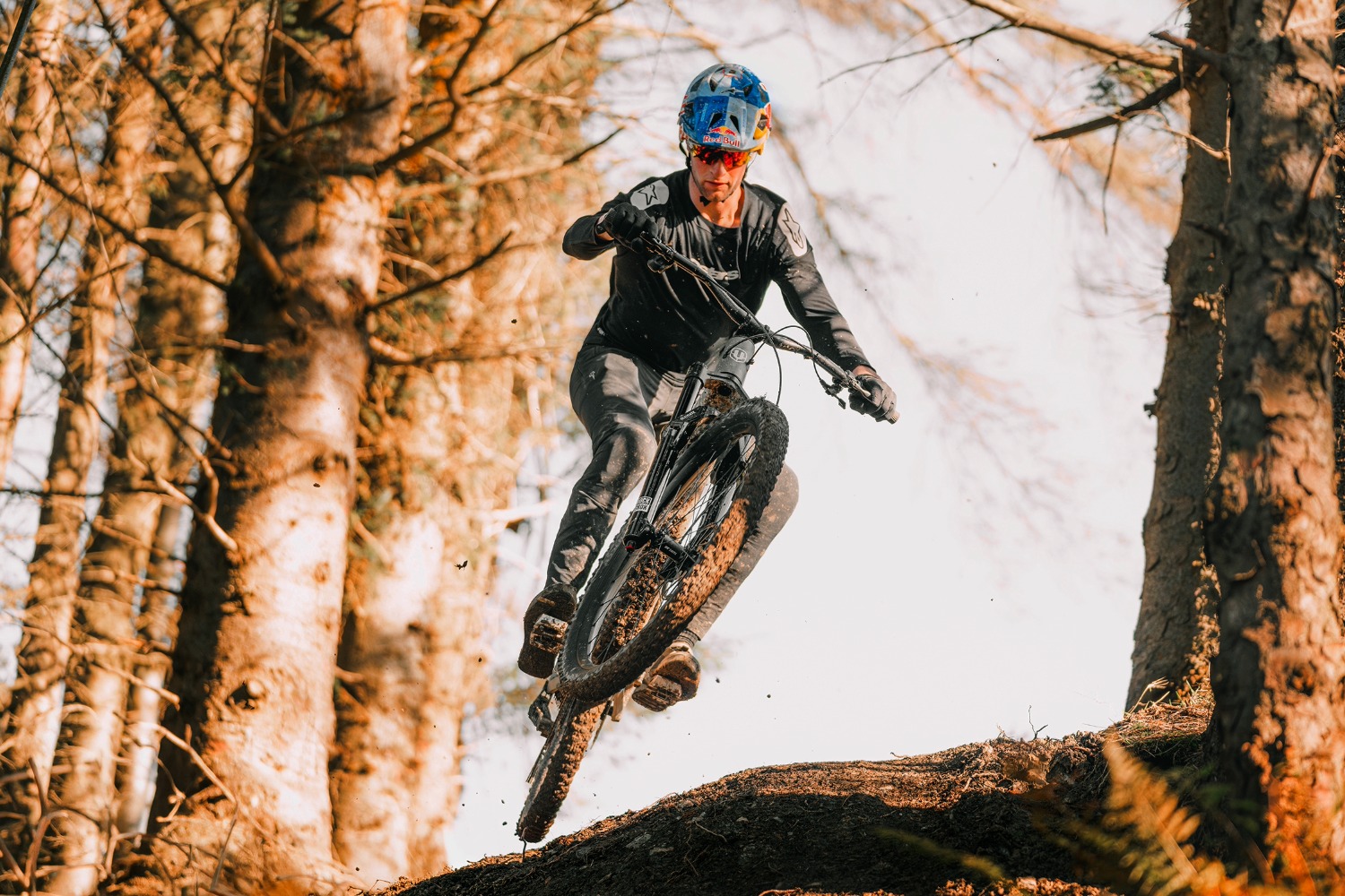 Mondraker ZENDIT RR saturn