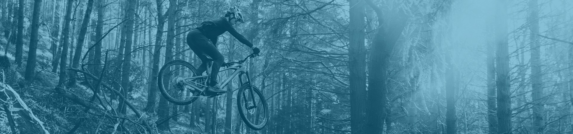 Mondraker Zendit