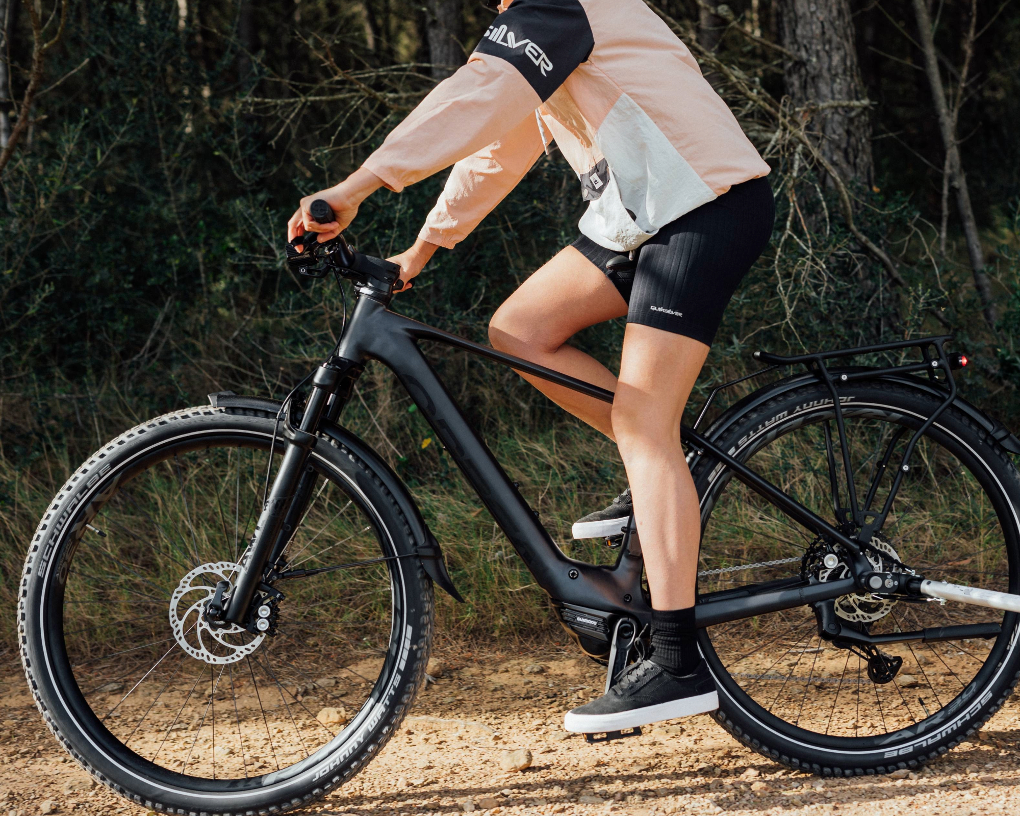 Domane Plus