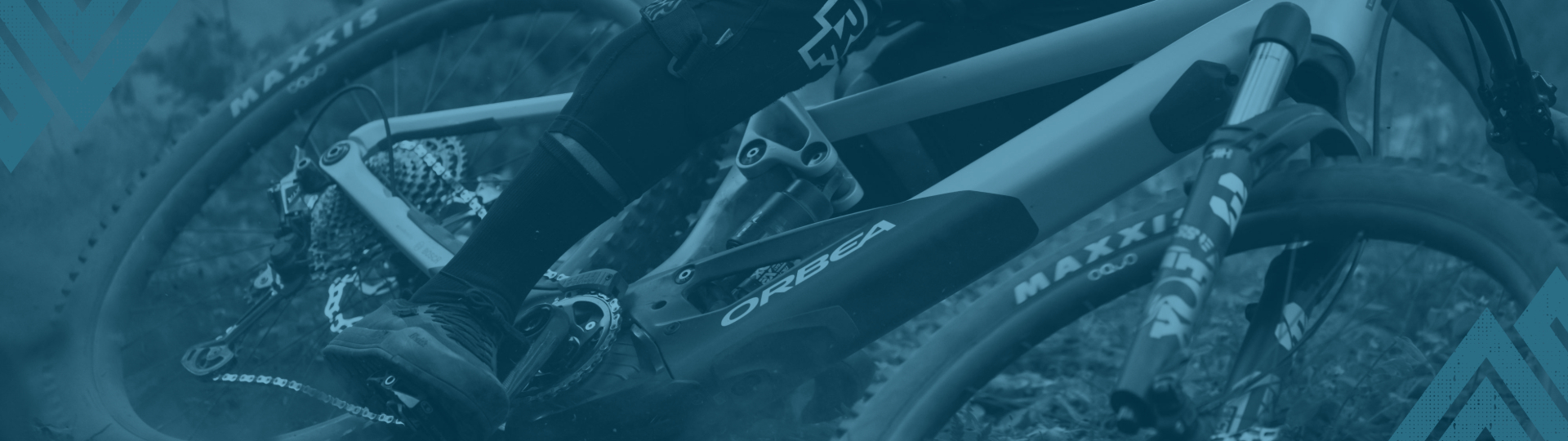 Trek Domane