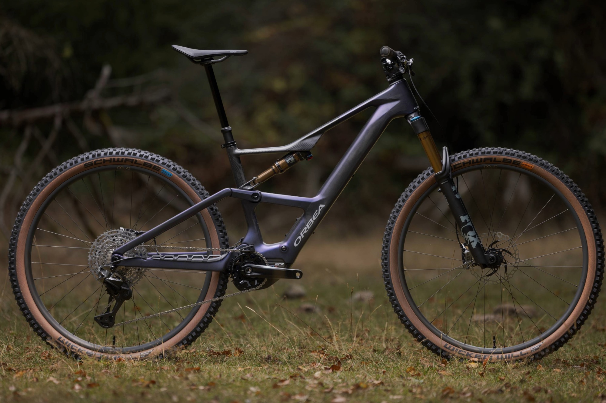 Orbea Rise 2026 Fahrrad vor Wald Hintergrund