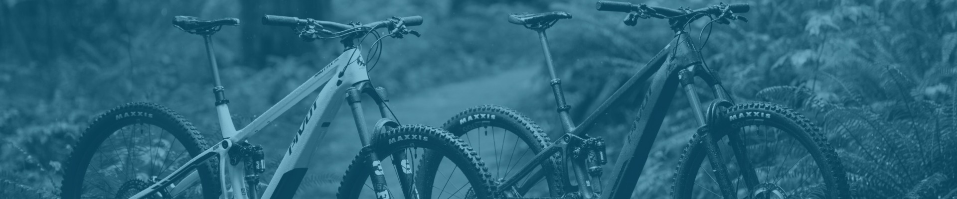 Santa Cruz Bikes
