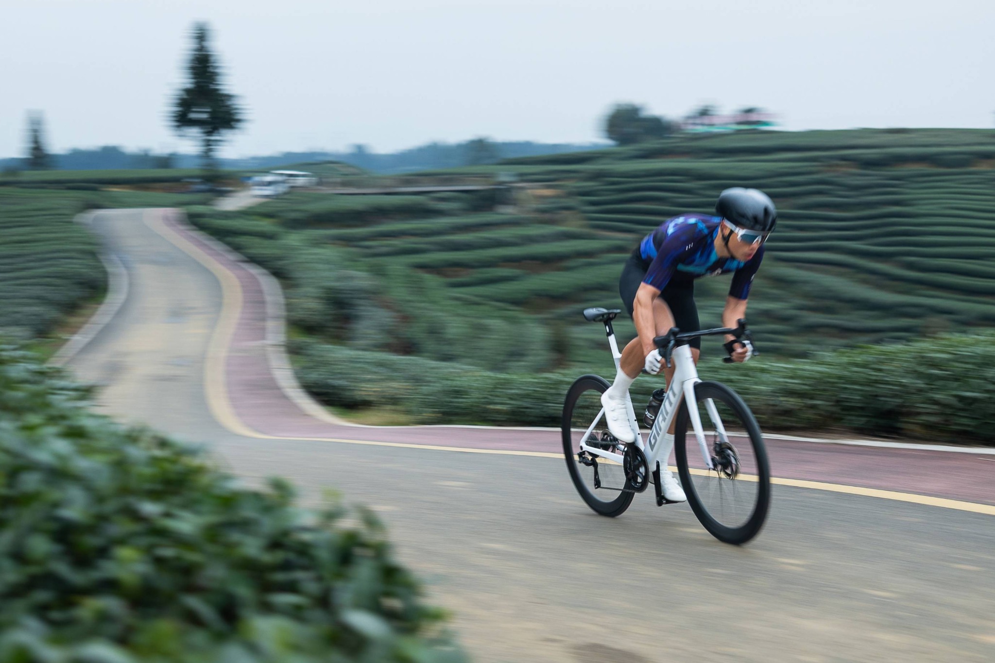 Das Aero Rad der Profis: Propel SL