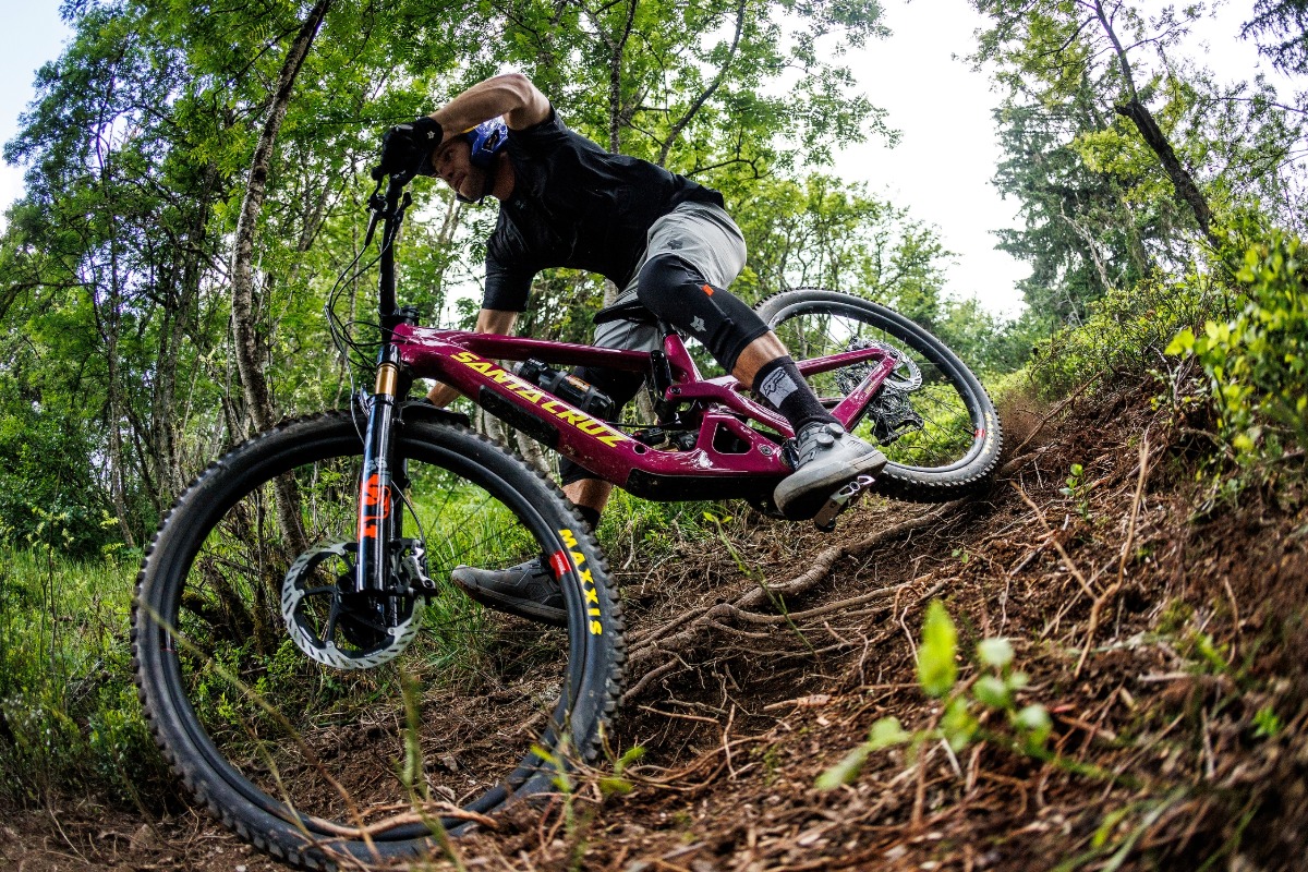 Santa Cruz Bronson