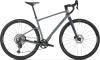 Greyhound Grey