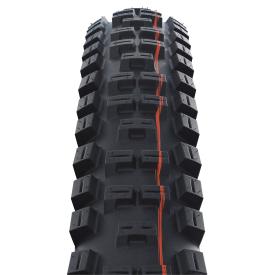 Schwalbe Big Betty 