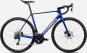 Cobalt Blue - Carbon Raw (Matt)