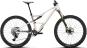 morepic-2