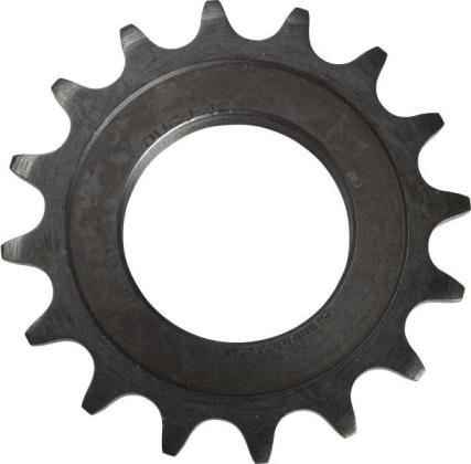 morepic-4