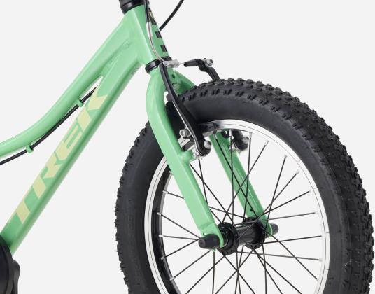 morepic-6