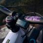 morepic-6