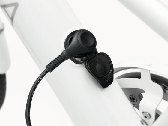 morepic-7