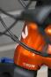 morepic-7