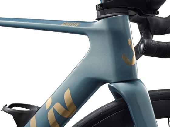 morepic-8
