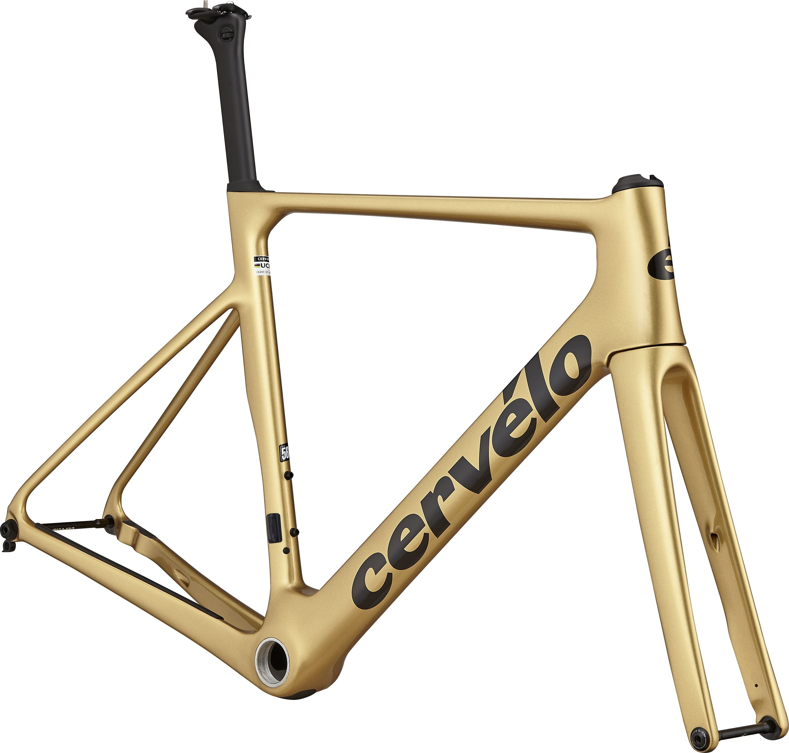 Soloist Frameset - 2023 Gold Dust | 51cm