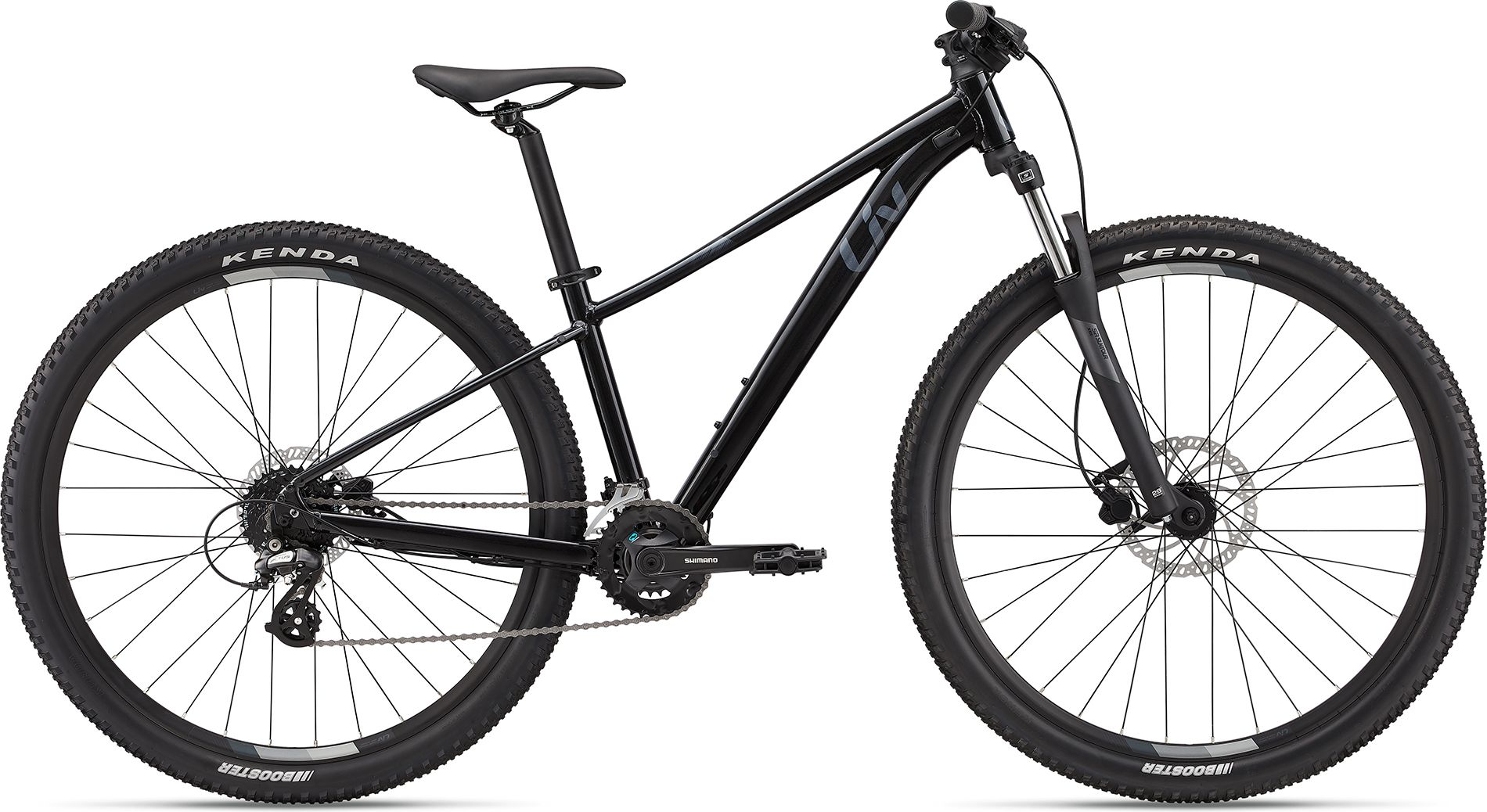 Tempt 3 29" - 2024 Metallic Black | L