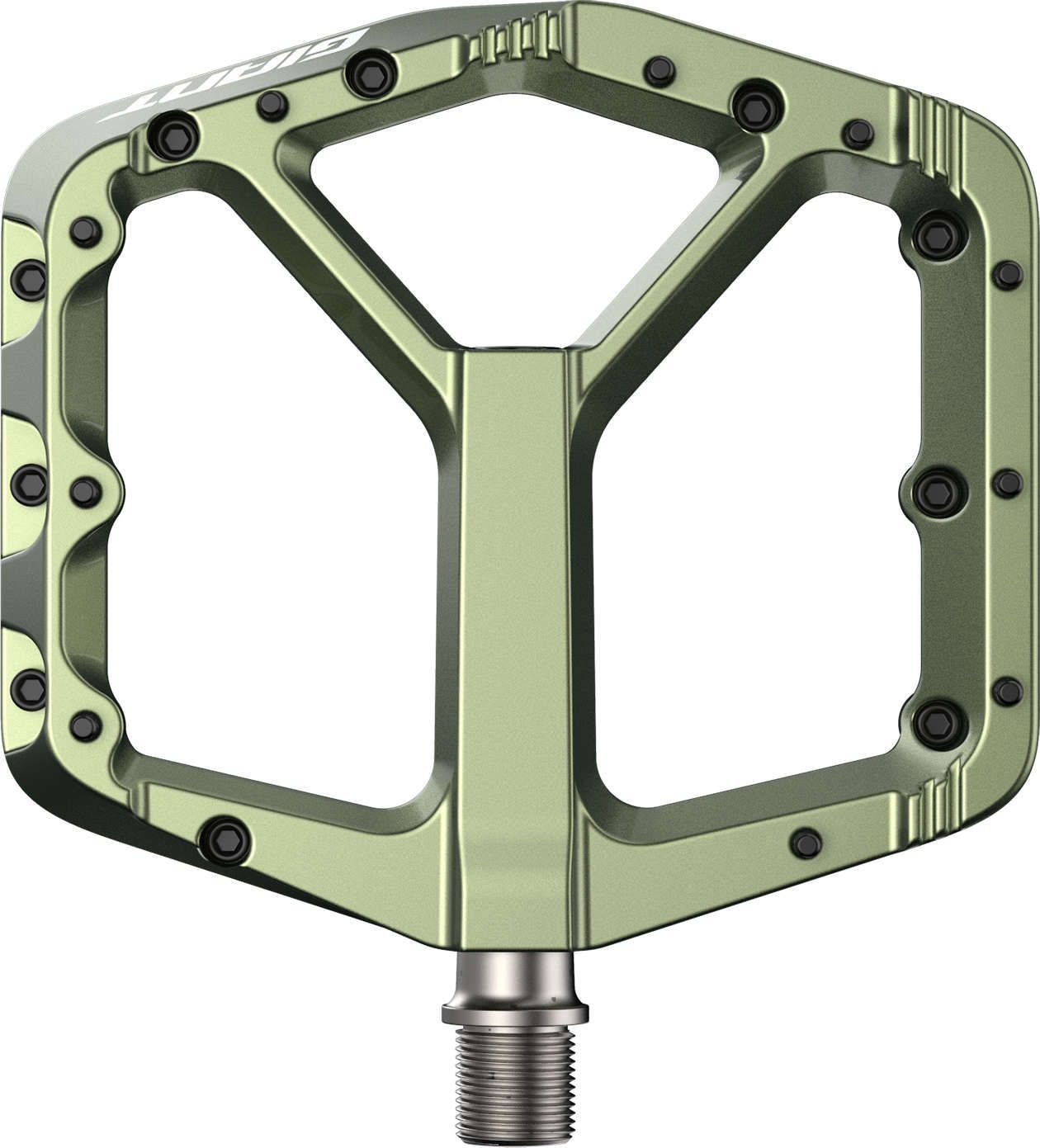 Giant Pinner Pro Flat Pedale - grün | uni