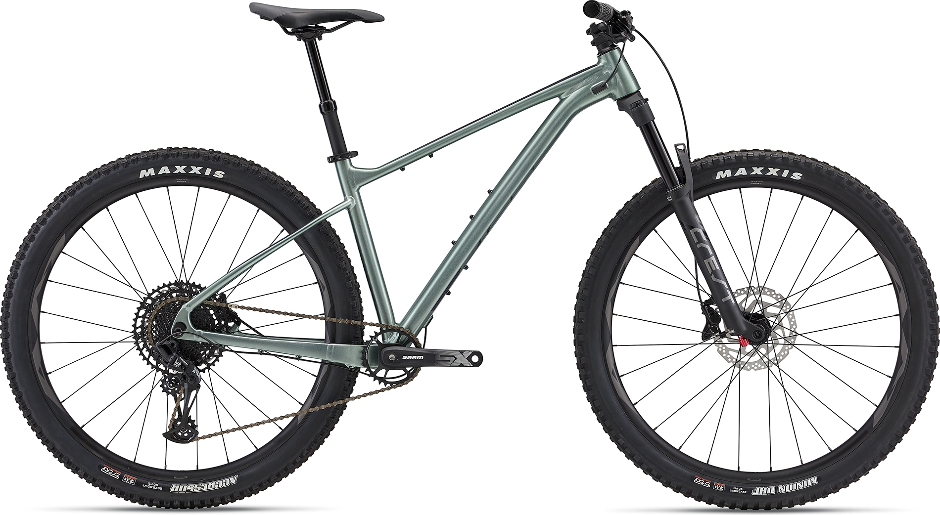 Fathom 1 29" - 2024 Misty Forest | M