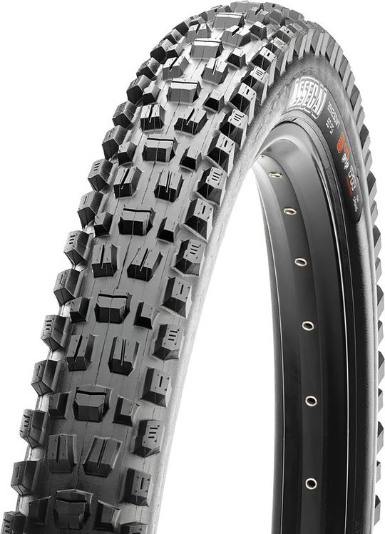 Assegai Schwarz | Faltreifen | EXO Protection | 3C MaxxTerra Compound | 29 | 2,5 | ohne