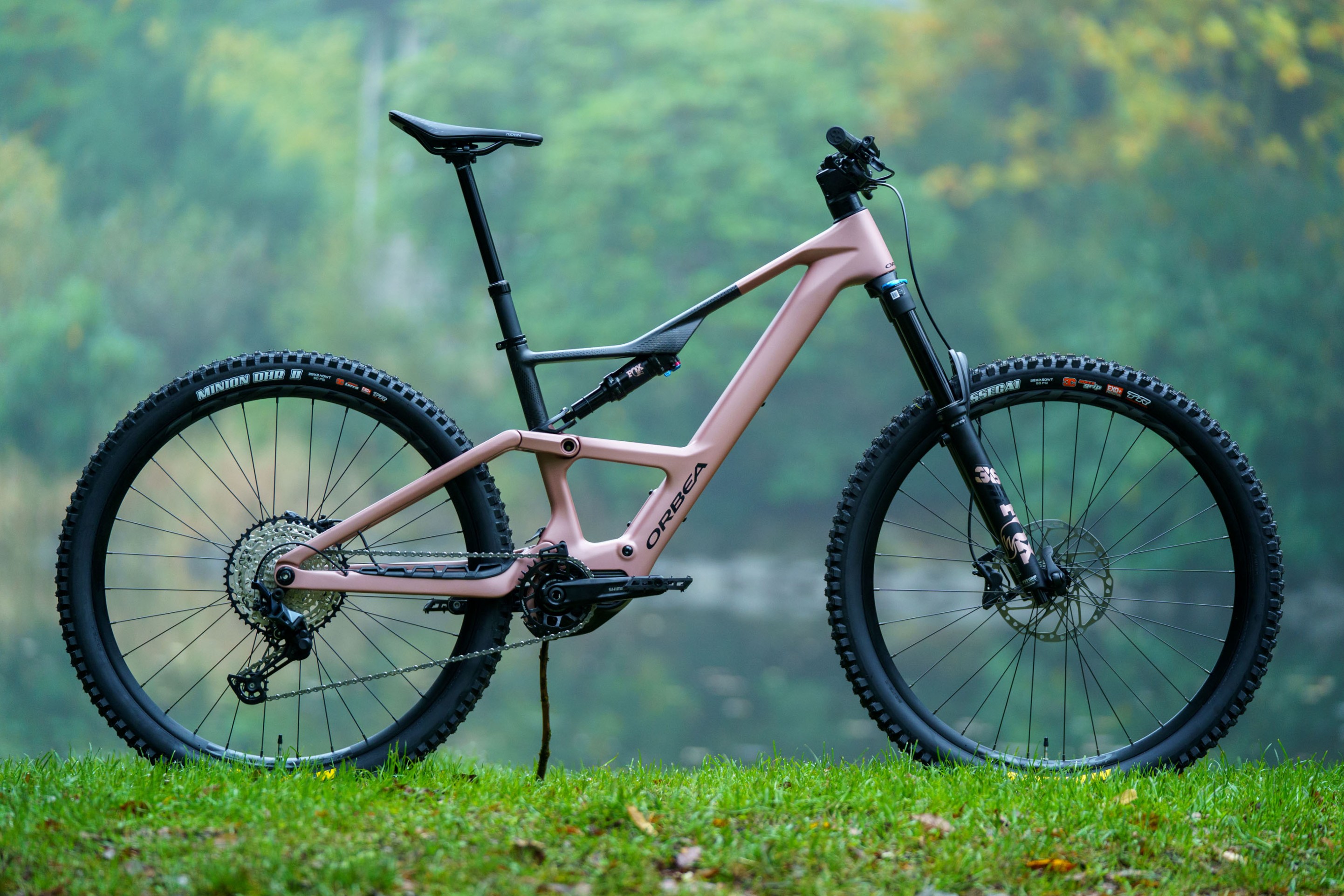 Rise LT M20 630Wh - 2025 Desert Rose - Carbon Raw | XL