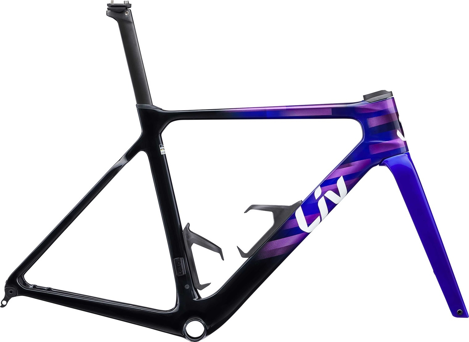 EnviLiv Advanced SL Frameset - 2024 