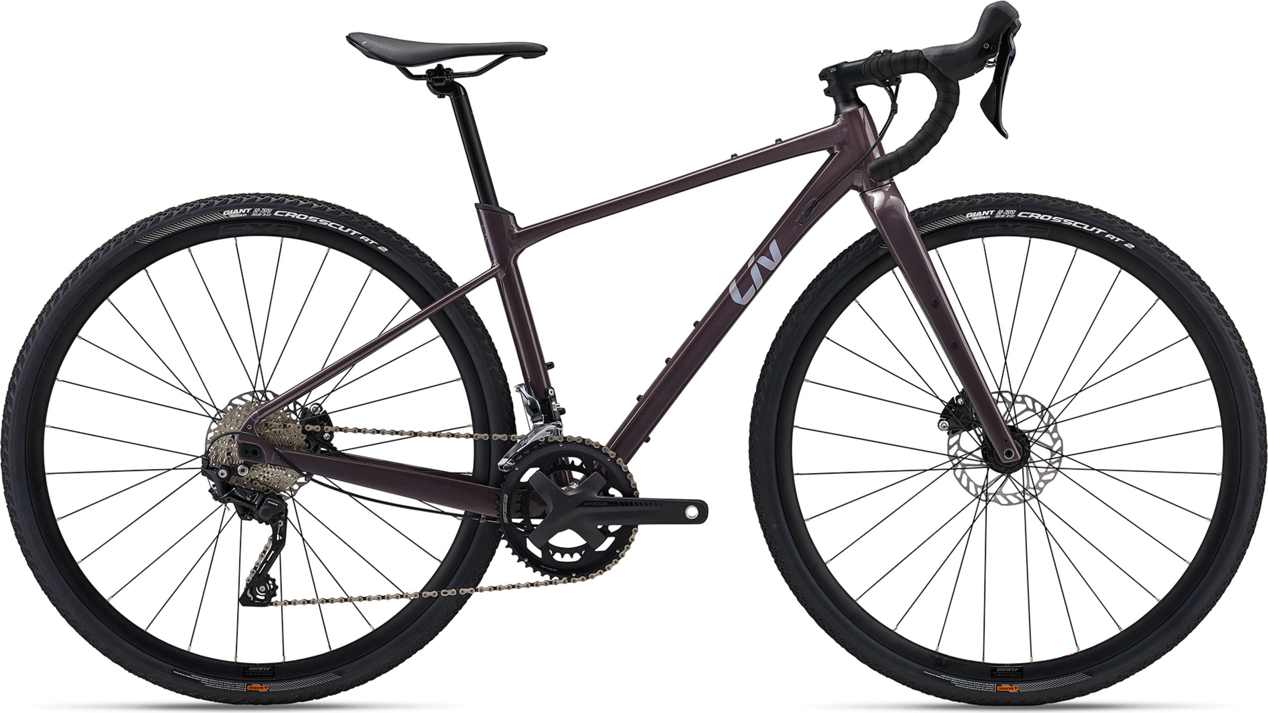 Devote 1 - 2025