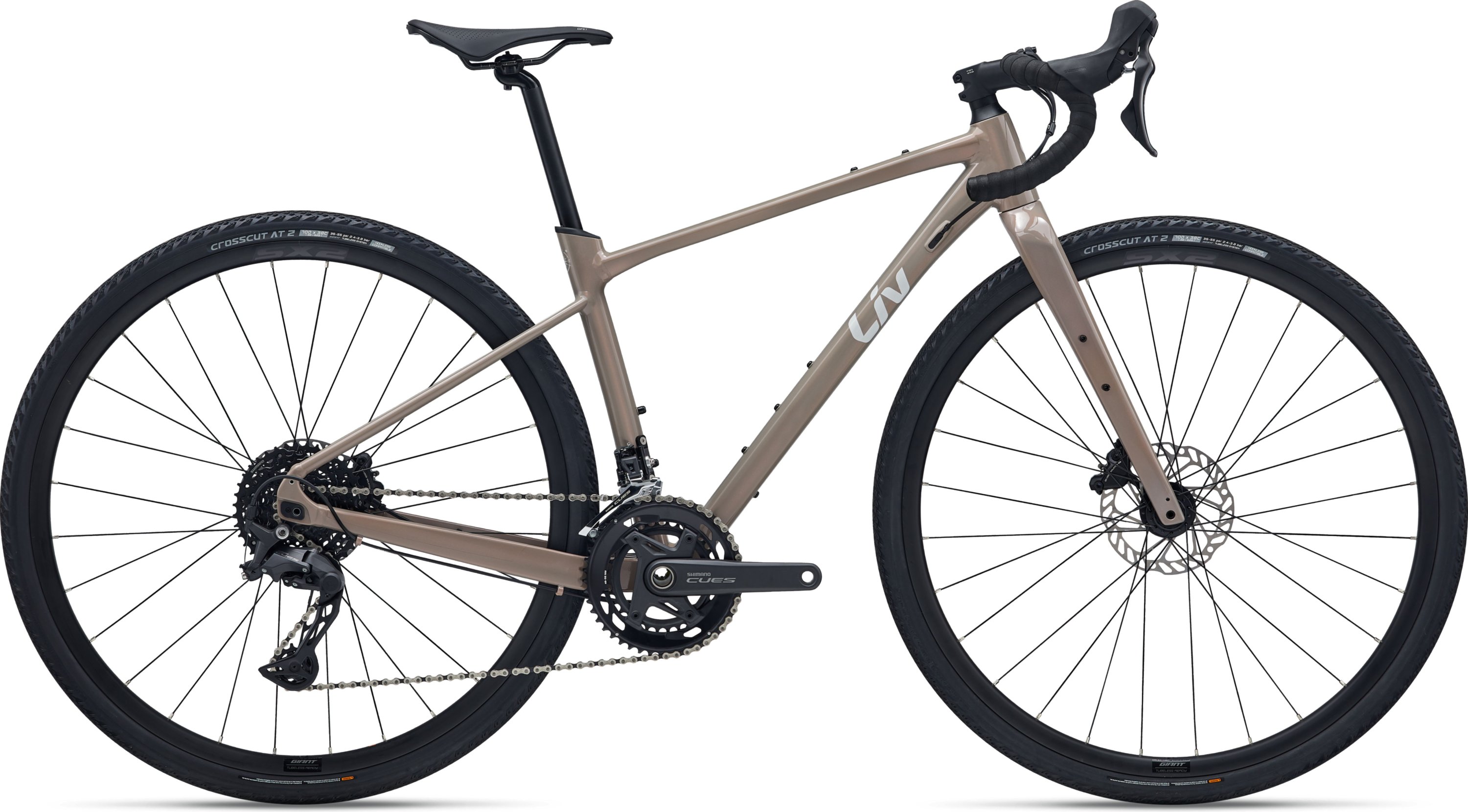 Devote 1 - 2026