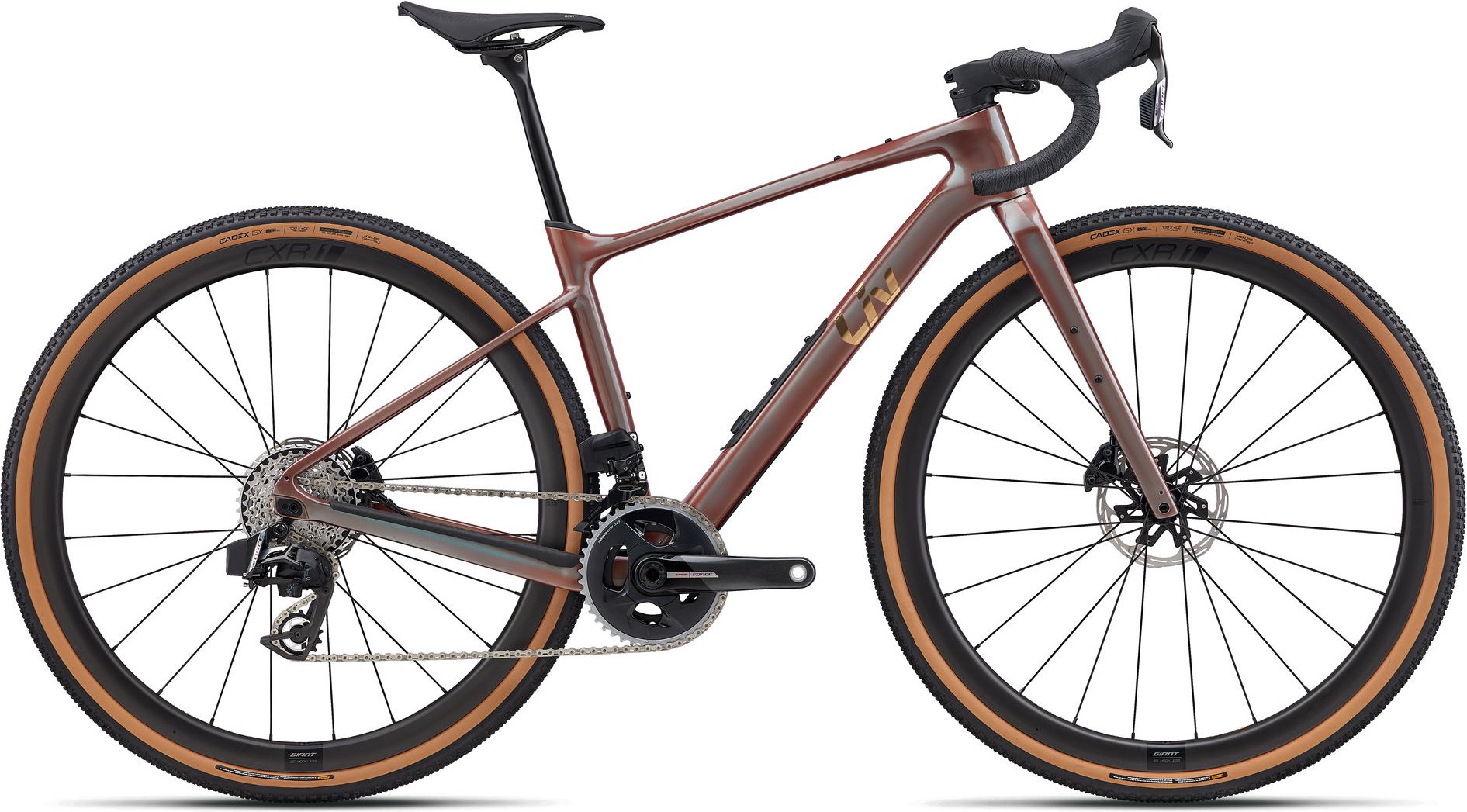 Devote Advanced Pro - 2026 