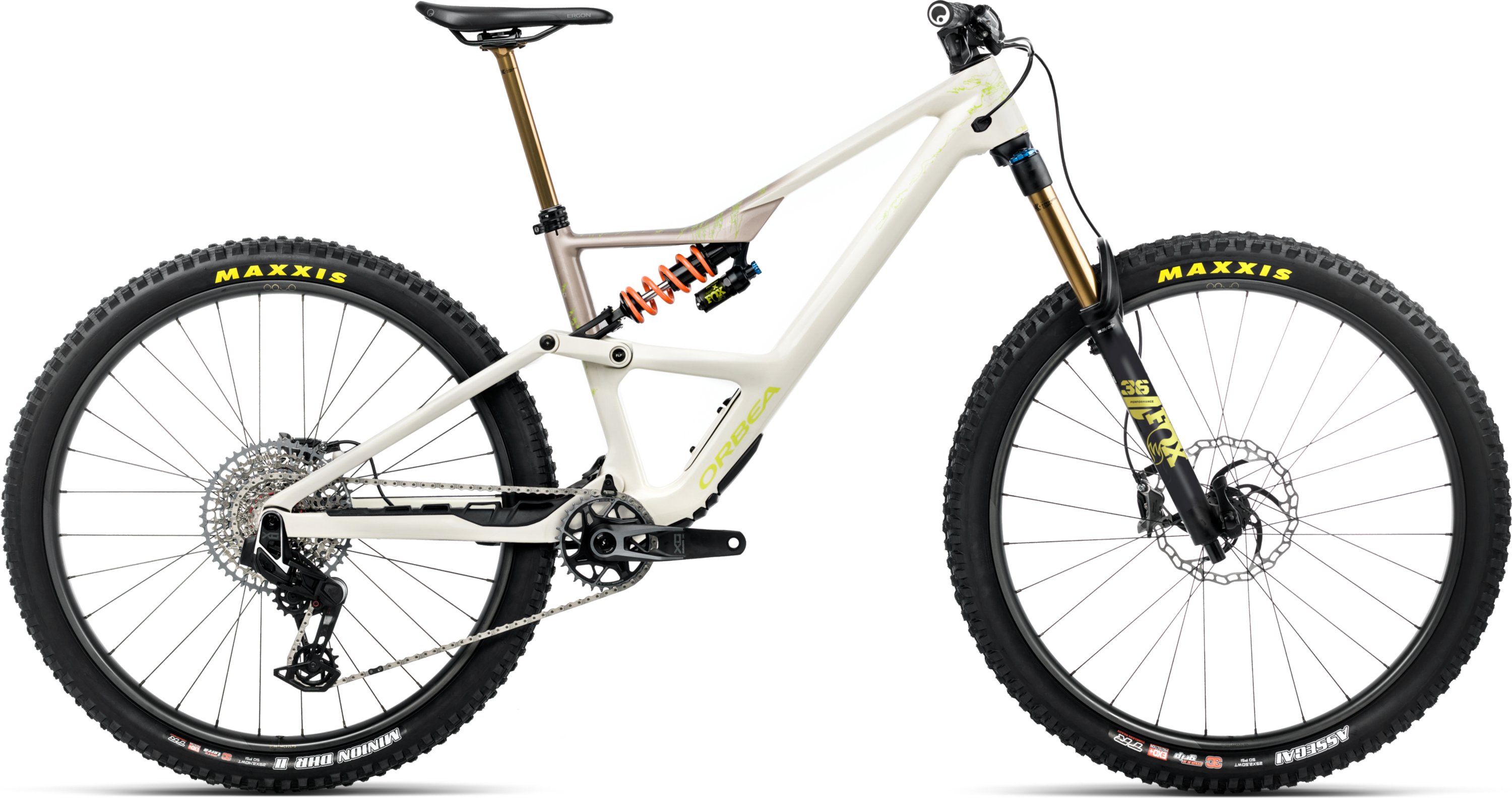 Occam LT M-TEAM - 2026 