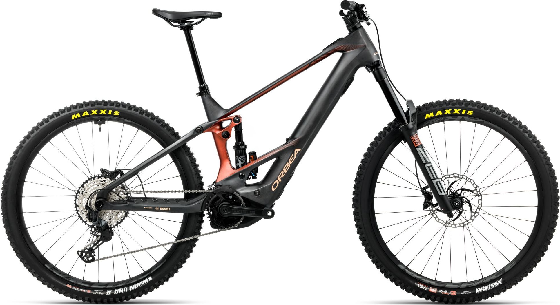 Wild M20 - 2026