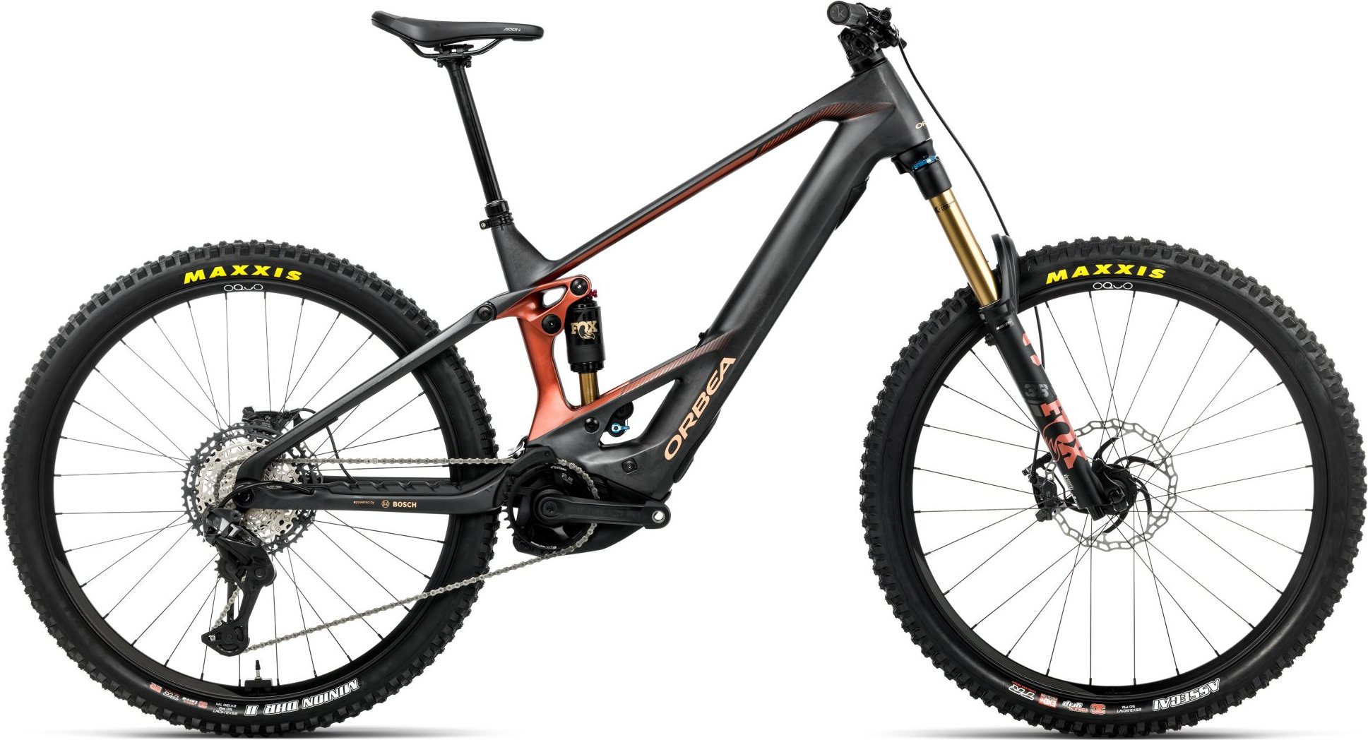 Wild/M M-TEAM - 2026 