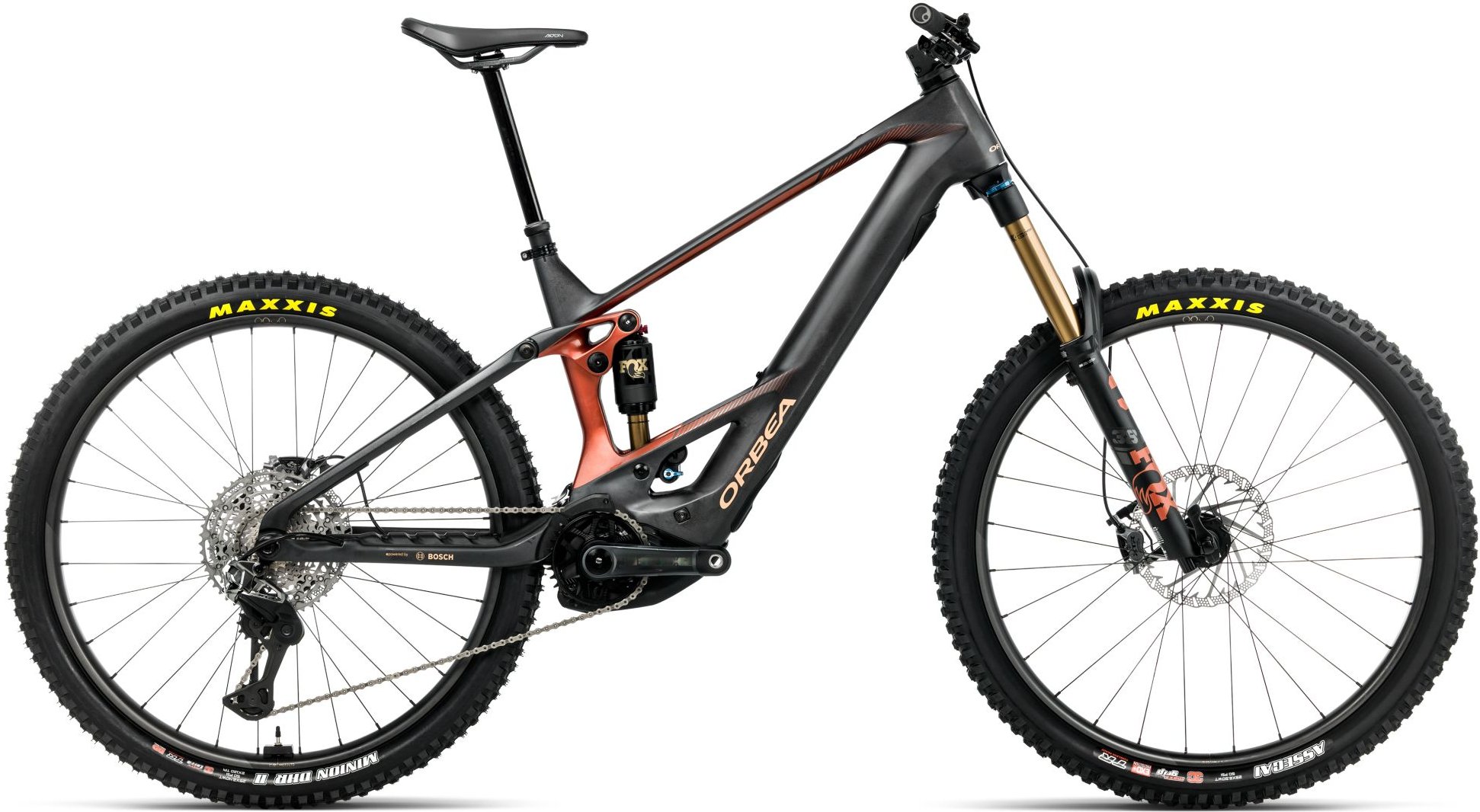Wild M-LTD - 2026
