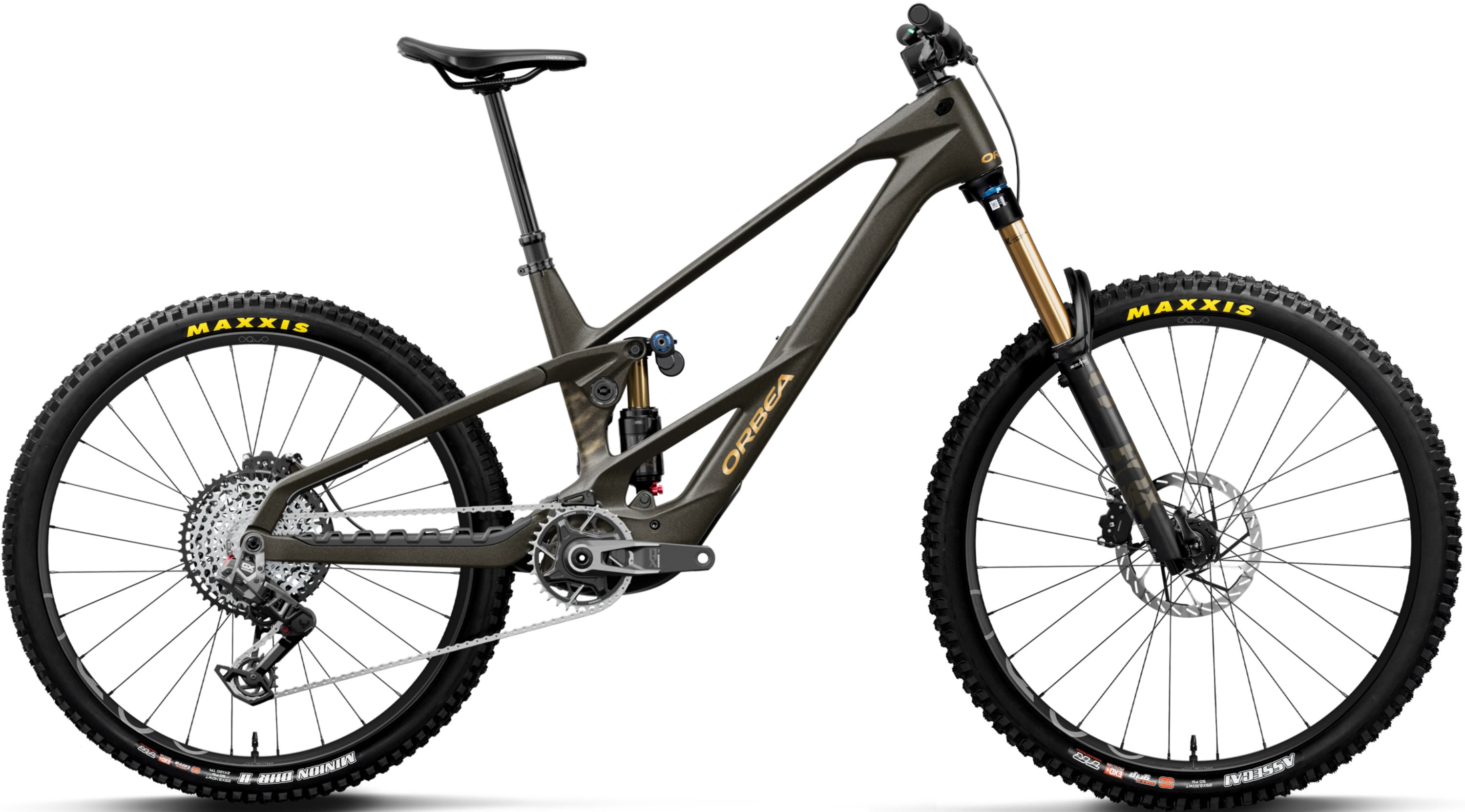 Wild LT M-TEAM RS Mullet - 2027 