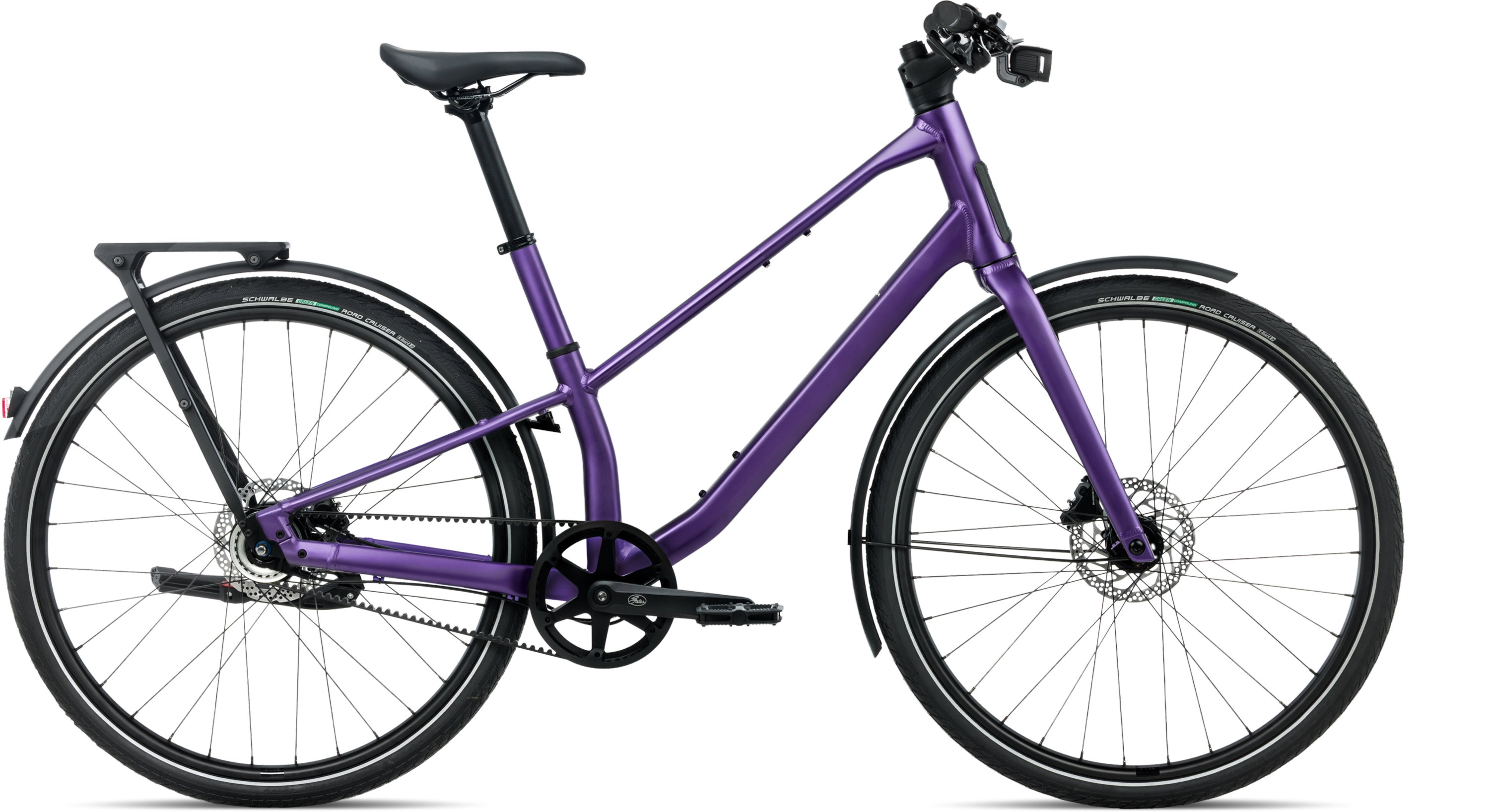 Vector 10 - 2027 Royal Plum (Matt) | M