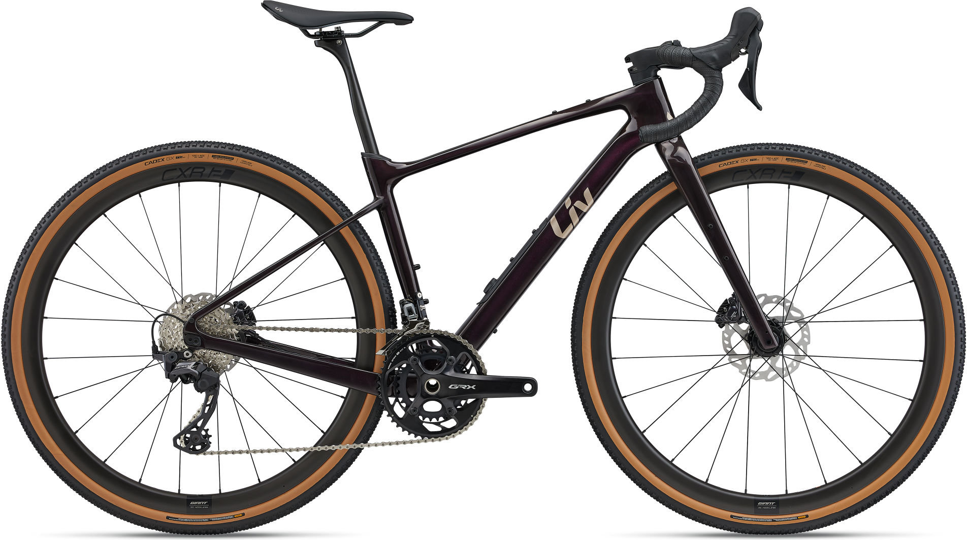 Devote Advanced 0 - 2025 M