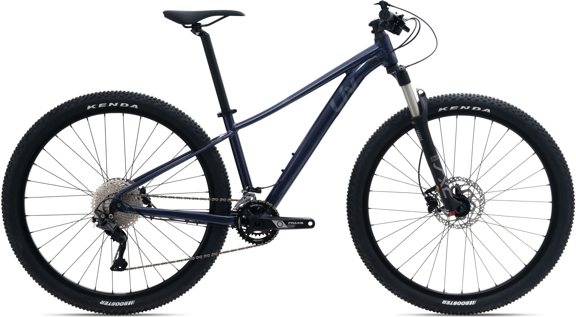 Tempt 1 29" - 2024 